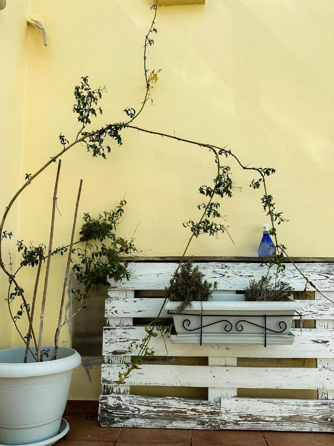 Beachnest Apartment Ágios Nikólaos 외부 사진